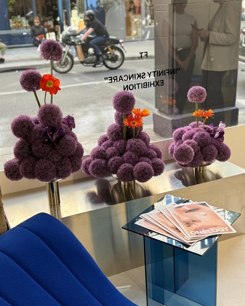 Chrysanthèmes violets alignés devant la boutique à l’automne