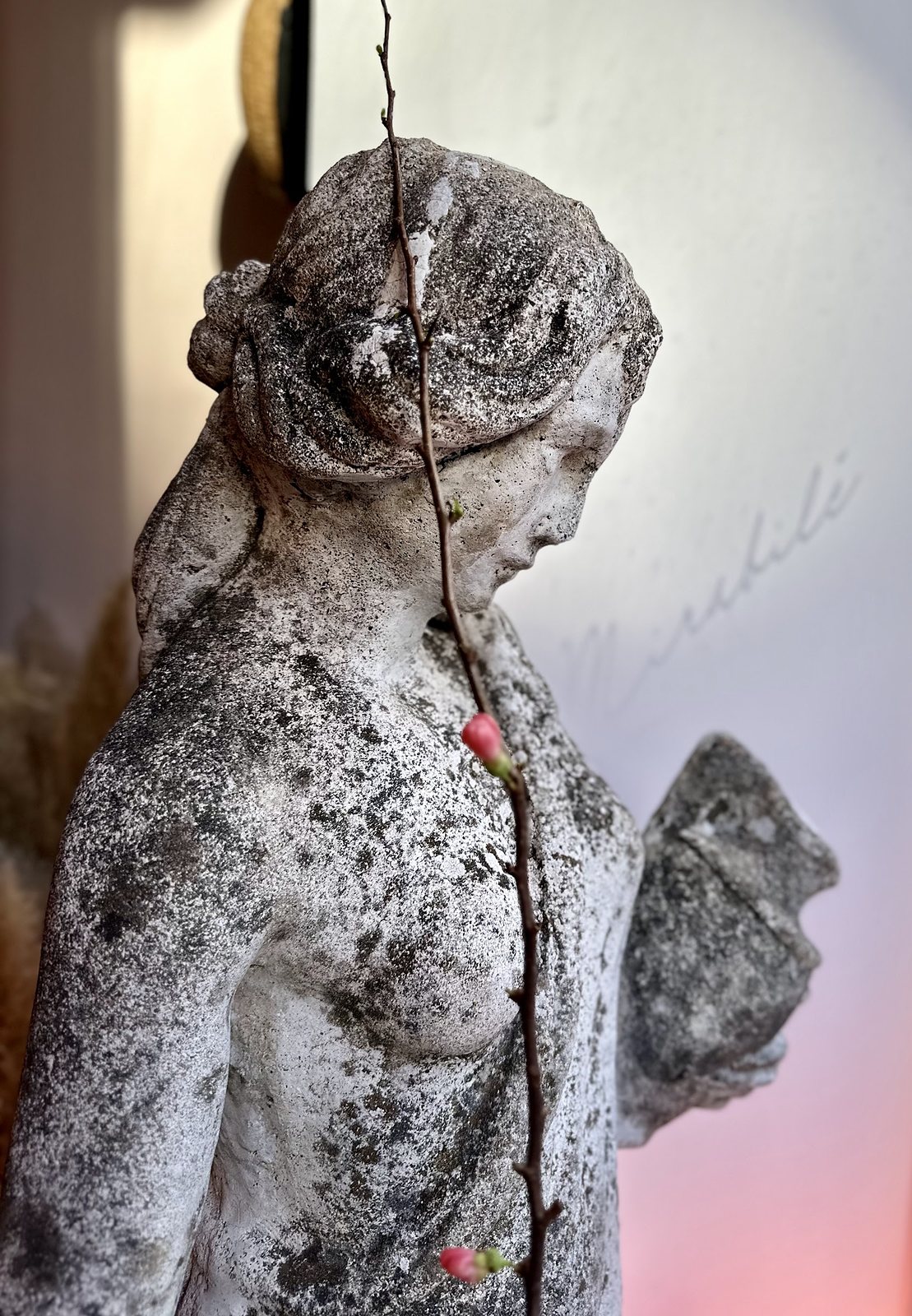 La statue de pierre de la vitrine, patinée, devant le lettrage de la maison